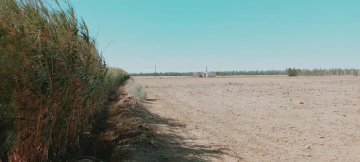 Vente Terrain Agricole Djelfa Hassi bahbah 56
