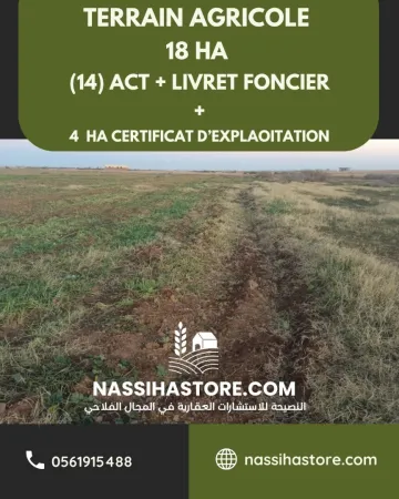 Vente Terrain Agricole Djelfa Ain oussara 5
