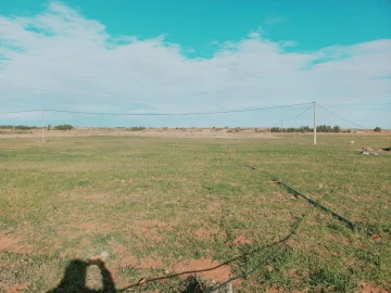 Vente Terrain Agricole Djelfa Djelfa 3