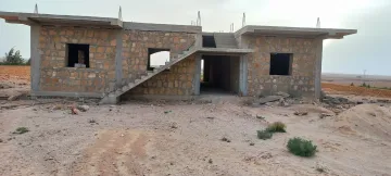 Vente Terrain Agricole Djelfa Ain oussara 4