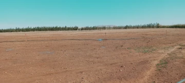 Vente Terrain Agricole Djelfa Hassi bahbah 5