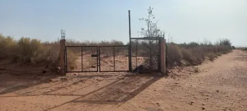 Vente Terrain Agricole Djelfa Ain oussara 12