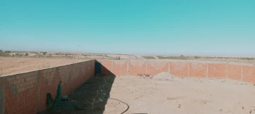 Vente Terrain Agricole Djelfa Djelfa 3