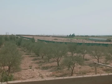 Vente Terrain Agricole Djelfa Ain oussara 7