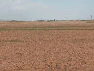 Vente Terrain Agricole Djelfa Djelfa 5