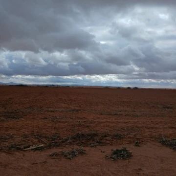 Vente Terrain Agricole Djelfa Had sahary 7