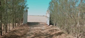 Vente Terrain Agricole Djelfa Hassi bahbah 7
