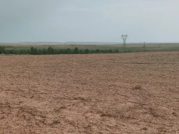 Vente Terrain Agricole Djelfa Djelfa 3