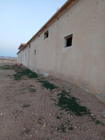 Vente Terrain Agricole Djelfa Had sahary 12