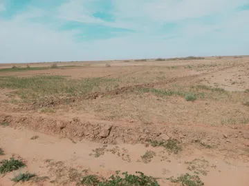 Vente Terrain Agricole Djelfa Birine 6