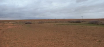 Vente Terrain Agricole Djelfa Ain oussara 13