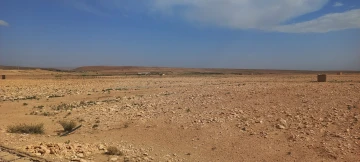 Vente Terrain Agricole Djelfa Mouadjebar 7