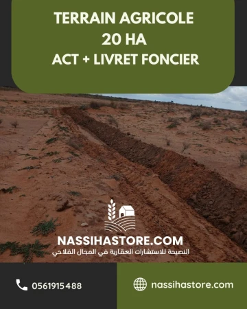 Vente Terrain Agricole Djelfa Had sahary 3