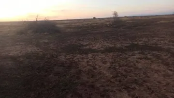 Vente Terrain Agricole Djelfa Ain oussara 2