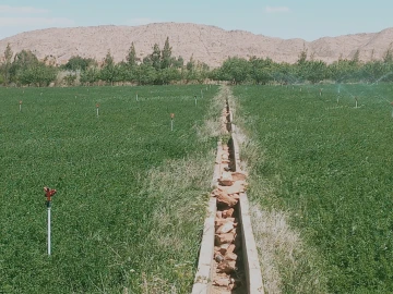 Vente Terrain Agricole Djelfa Djelfa 2