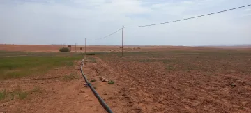 Vente Terrain Agricole Djelfa Djelfa 3
