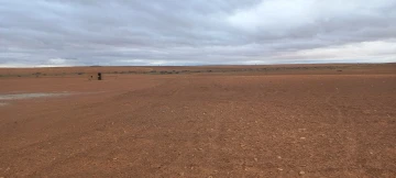 Vente Terrain Agricole Djelfa Ain oussara 2