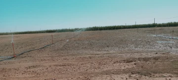 Vente Terrain Agricole Djelfa Hassi bahbah 32