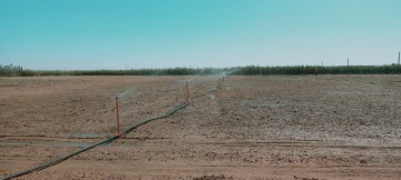 Vente Terrain Agricole Djelfa Hassi bahbah 28