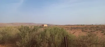 Vente Terrain Agricole Djelfa Ain oussara 10