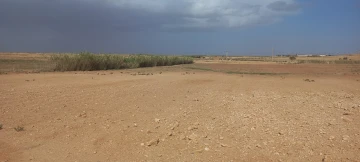 Vente Terrain Agricole Djelfa Mouadjebar 5
