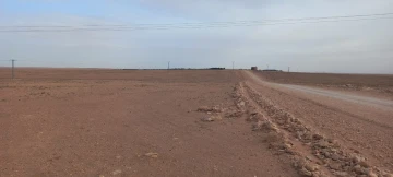 Vente Terrain Agricole Djelfa Ain oussara 2