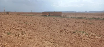 Vente Terrain Agricole Djelfa Mouadjebar 4