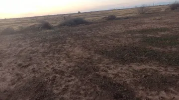 Vente Terrain Agricole Djelfa Ain oussara 12