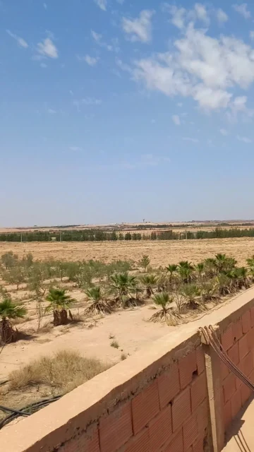 Vente Terrain Agricole Djelfa Ain oussara 5