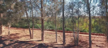 Vente Terrain Agricole Djelfa Ain oussara 24