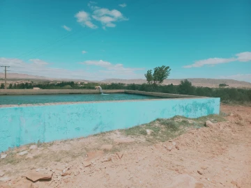Vente Terrain Agricole Djelfa Djelfa 11
