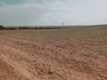 Vente Terrain Agricole Djelfa Djelfa 2