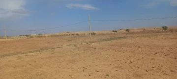Vente Terrain Agricole Djelfa Mouadjebar 6