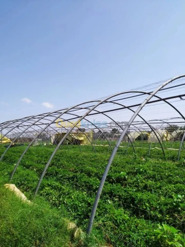 Vente Terrain Agricole Alger Zeralda 13