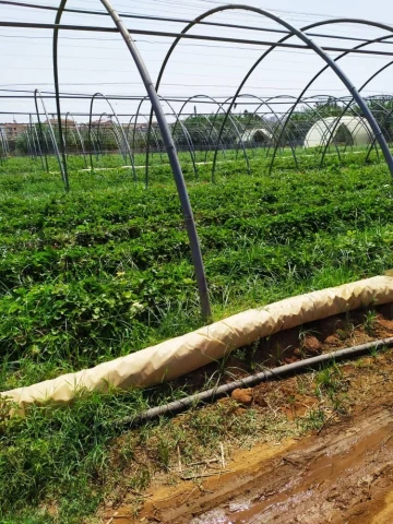 Vente Terrain Agricole Alger Zeralda 11