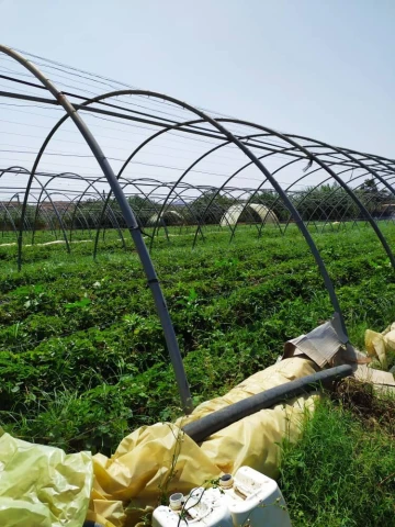 Vente Terrain Agricole Alger Zeralda 15