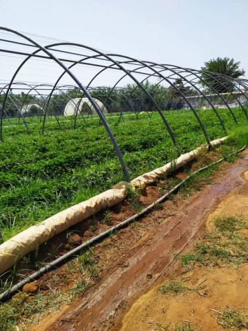 Vente Terrain Agricole Alger Zeralda 13
