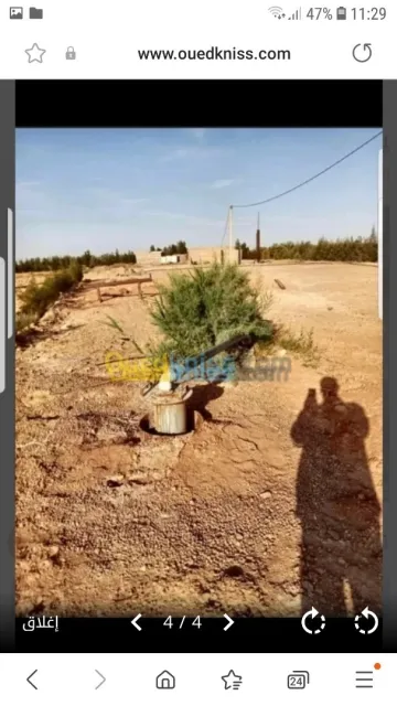 Vente Terrain Agricole Biskra Oumache 2