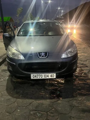 Peugeot 407 2004 407