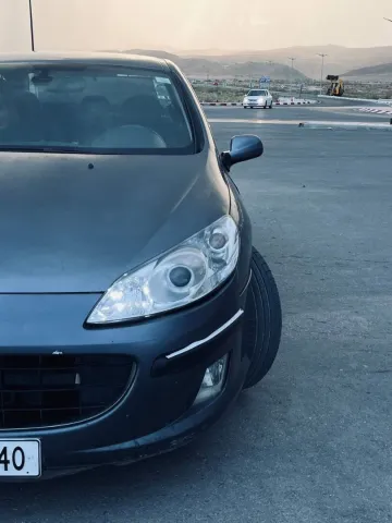Peugeot 407 2004 407 11