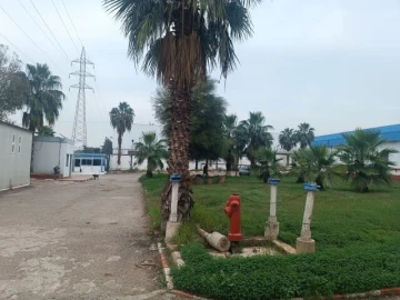 Location Hangar Alger Reghaia 19