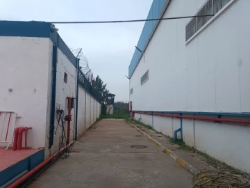 Location Hangar Alger Reghaia 9