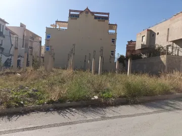 Vente Terrain Constantine Ain smara 5