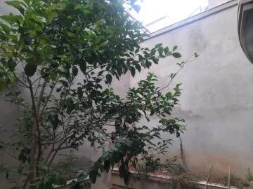 Vente Villa Constantine Constantine 11