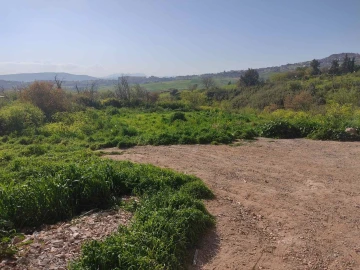 Vente Terrain Médéa Medea