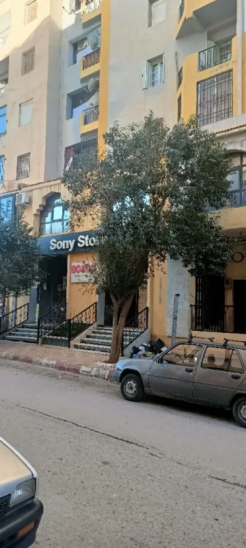 Vente Local Tlemcen Tlemcen 8