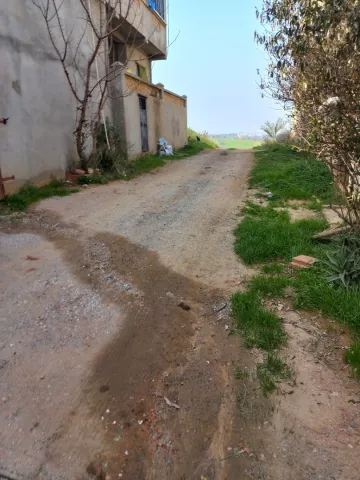 Vente Carcasse Alger Saoula 18
