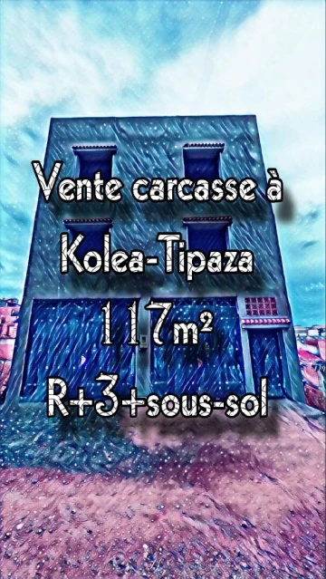 Vente Carcasse Tipaza Kolea 8
