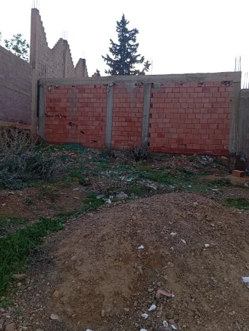 Vente Terrain Chlef Chettia 10