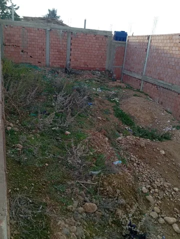 Vente Terrain Chlef Chettia 11